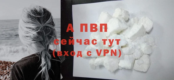 молекула духа Семикаракорск