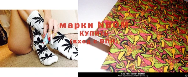 соль ск Семилуки