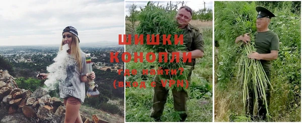 соль ск Семилуки