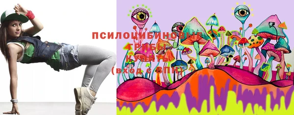 молекула духа Семикаракорск